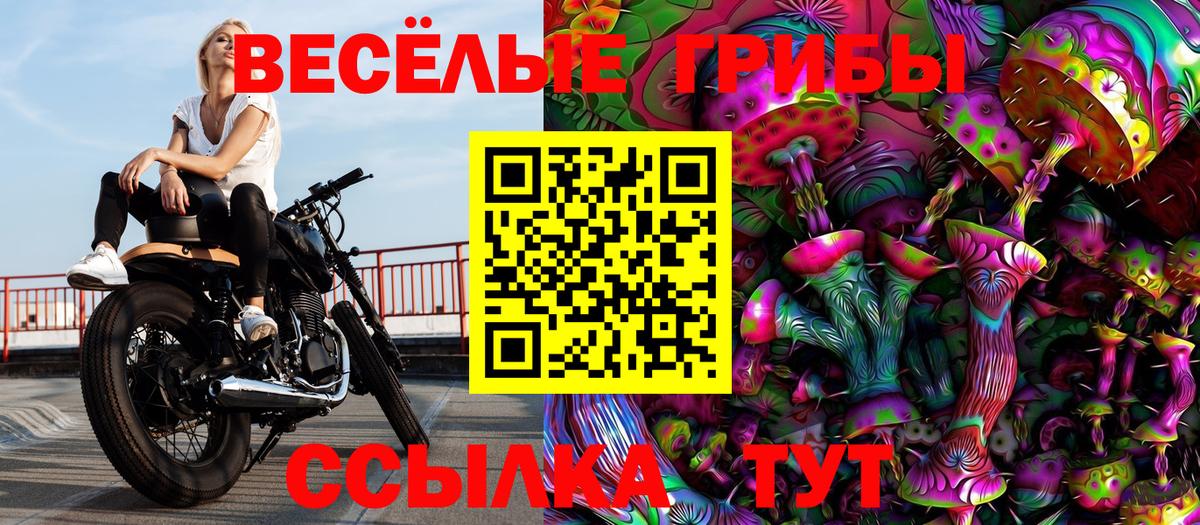 Псилоцибиновые грибы ЛСД  Вход с VPN  Коркино 