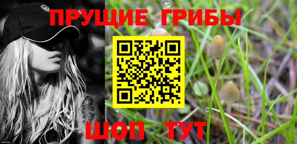Псилоцибиновые грибы прущие грибы Коркино